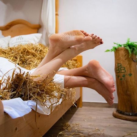 Landhotel Moorhof Franking Εξωτερικό φωτογραφία